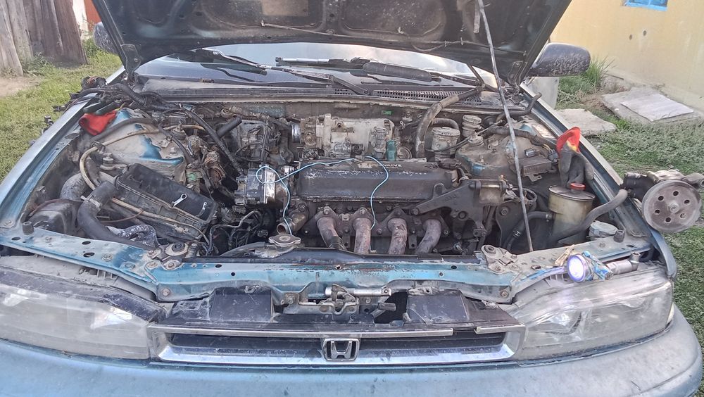 Прадам целиком или на разбор