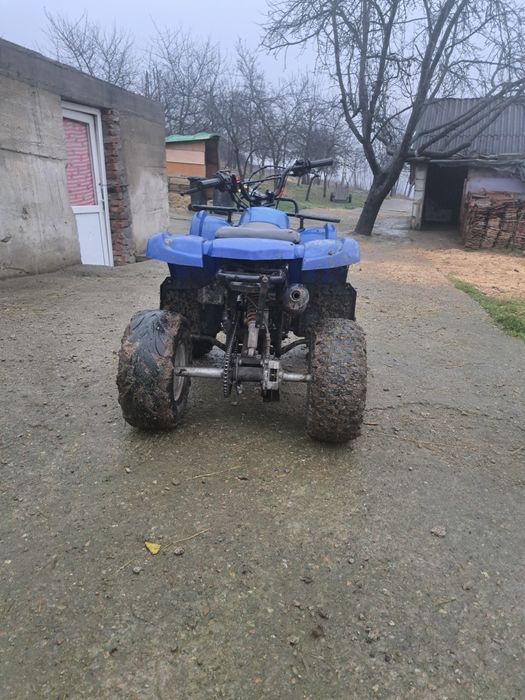 Darius dulce te seducție