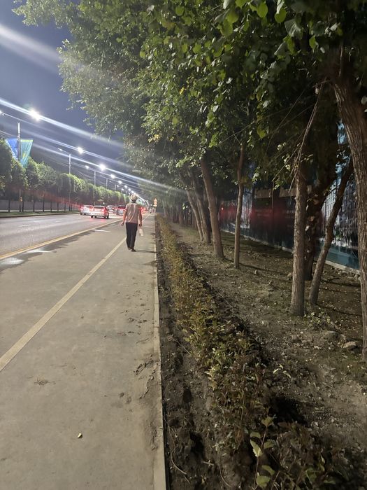 Кустарники в асортименте