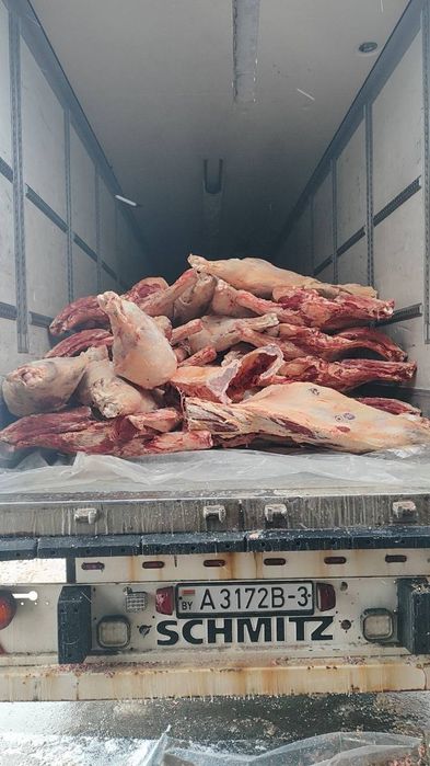 Продам туши говядины опт