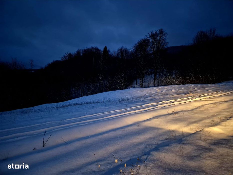 Teren 5000 mp extravilan Sinca Noua
