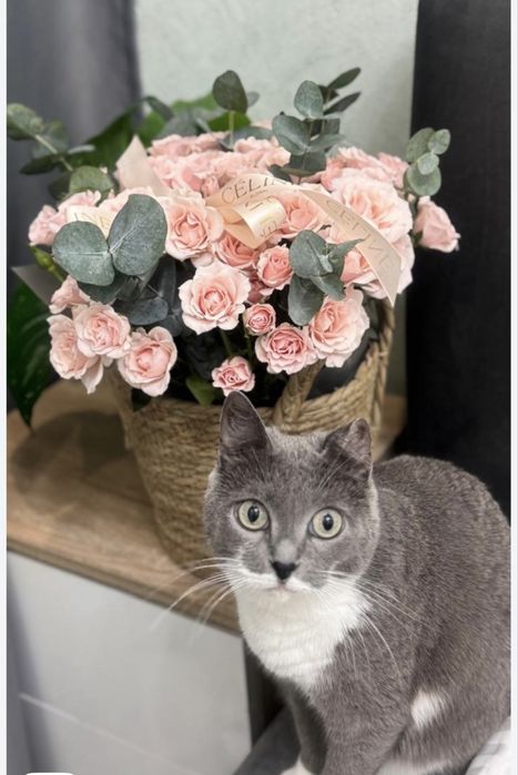 Профессиональный расслабляющий массаж Астана