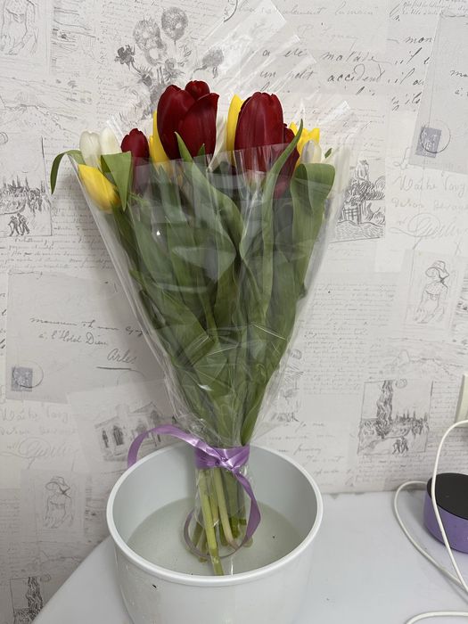 Тюльпаны 8 марта сегодня подарили 6 тыс
