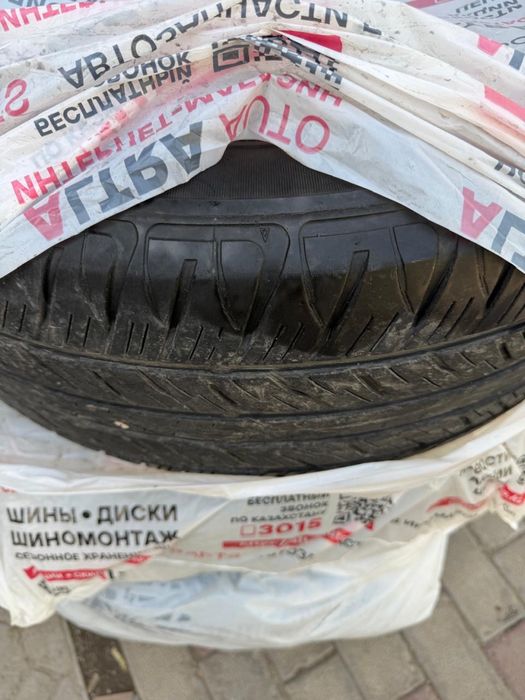 Летняя резина (шина) DUNLOP
