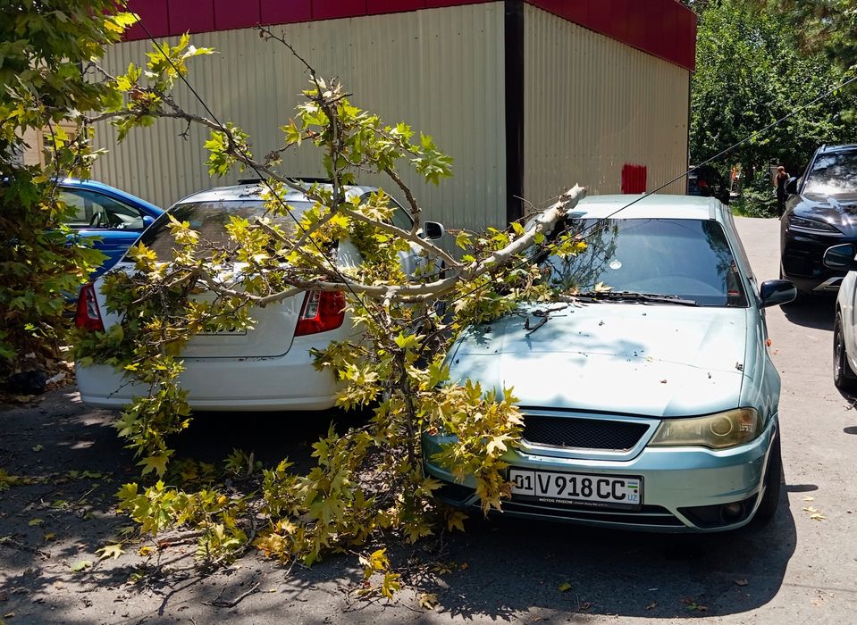 Nexia 2, 1.6, konditsionerli. Нексия 2, 1.6, с кондиционером