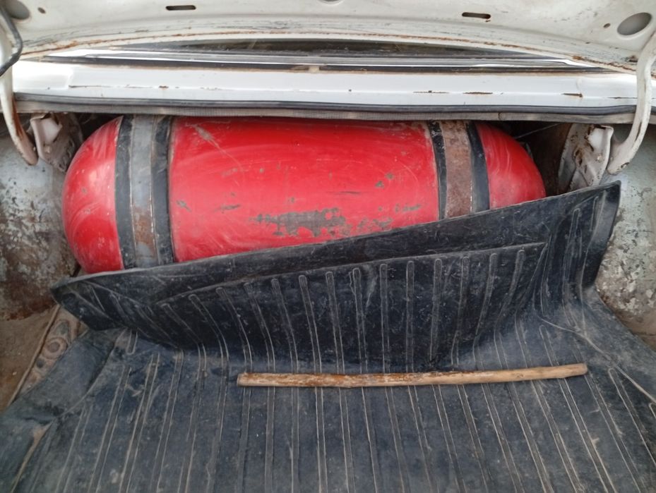 Volga prsebi bilan sotiladi