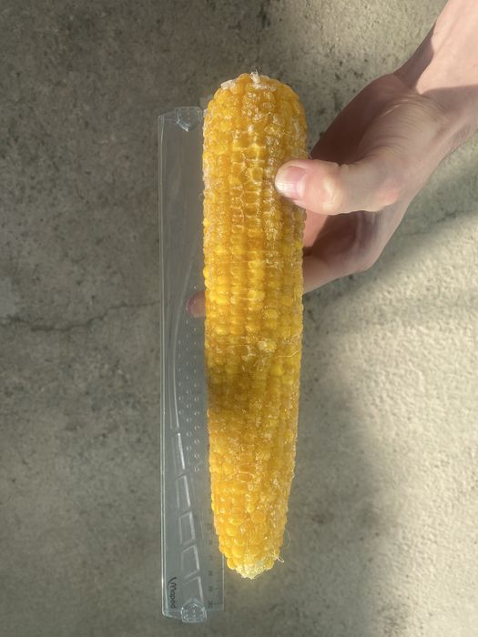 Joxori. макке .megaton .сладкая кукуруз . жухори