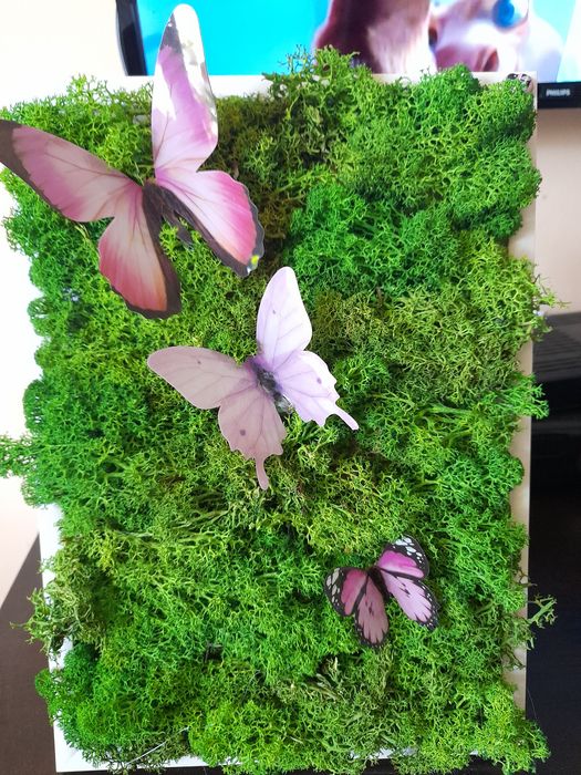 Картини от скандинавски мъх