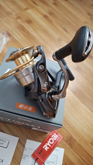 Mulineta Ryobi Ecusima Pro 4000 LT