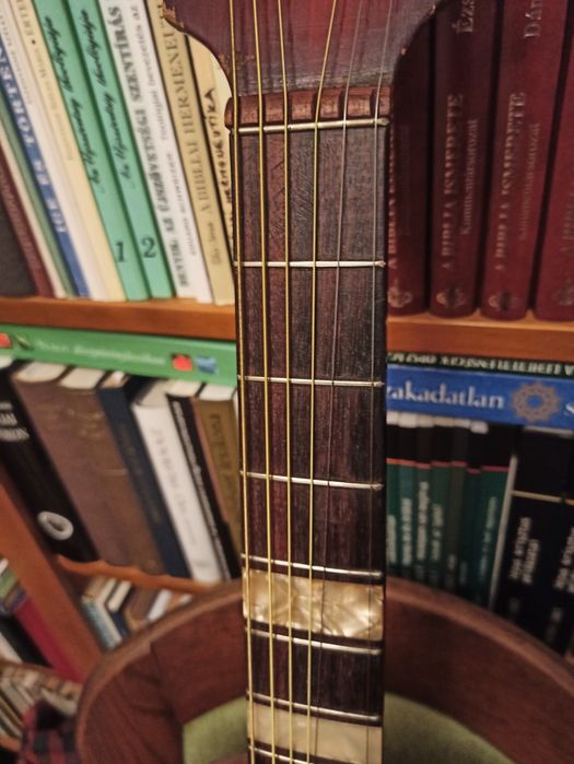 Chitara hollow body archtop jazz Framus Capri