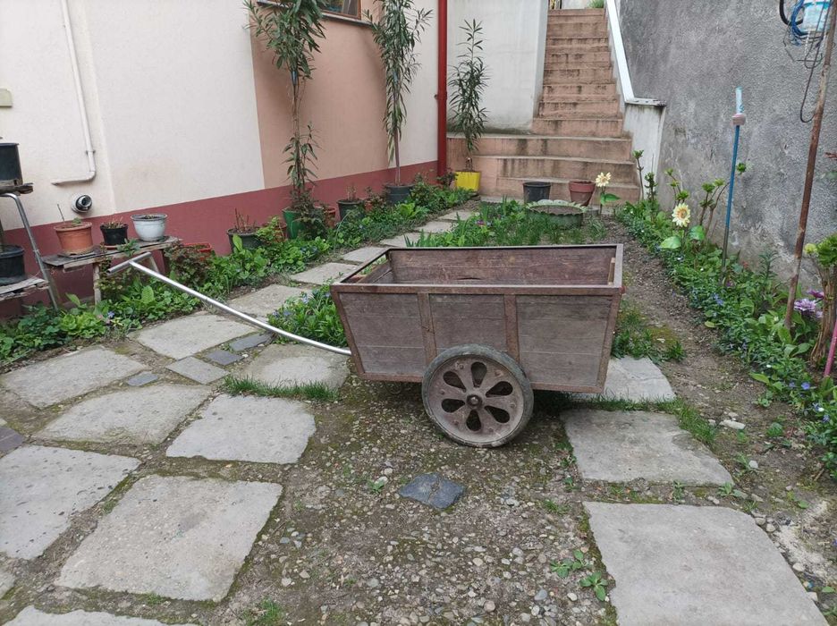 Vand carut de curte/gradina