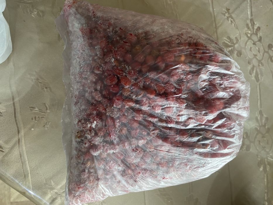 Калина (горькая) ягода