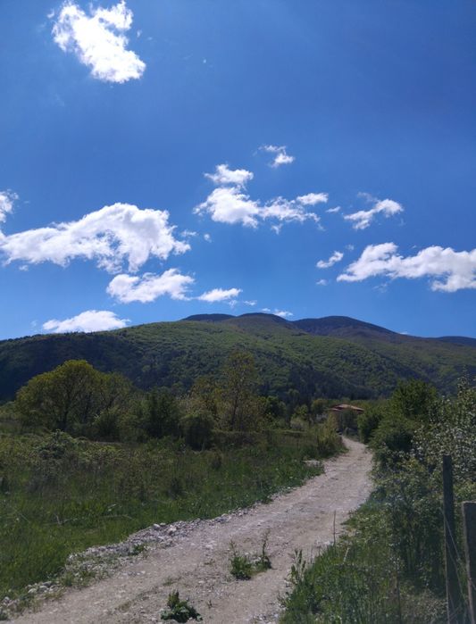 Продава се Парцел в Сапарева баня - 960 кв.м за 40 €/кв.м - Снимка #3