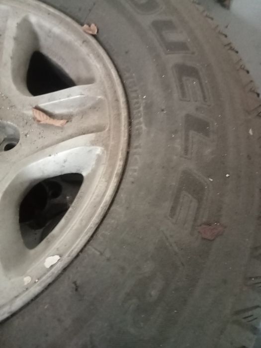 Летняя резина с диской.