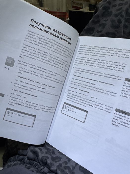 Программирование на Python для начинающих