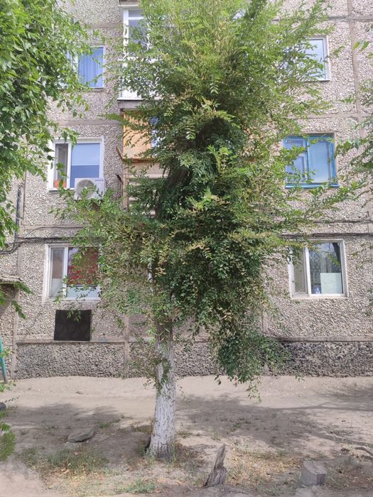 Продам 2 х комнатную квартиру