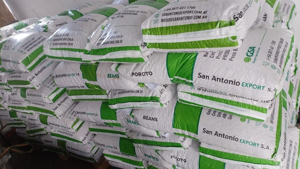 Fasole pestriță 2025