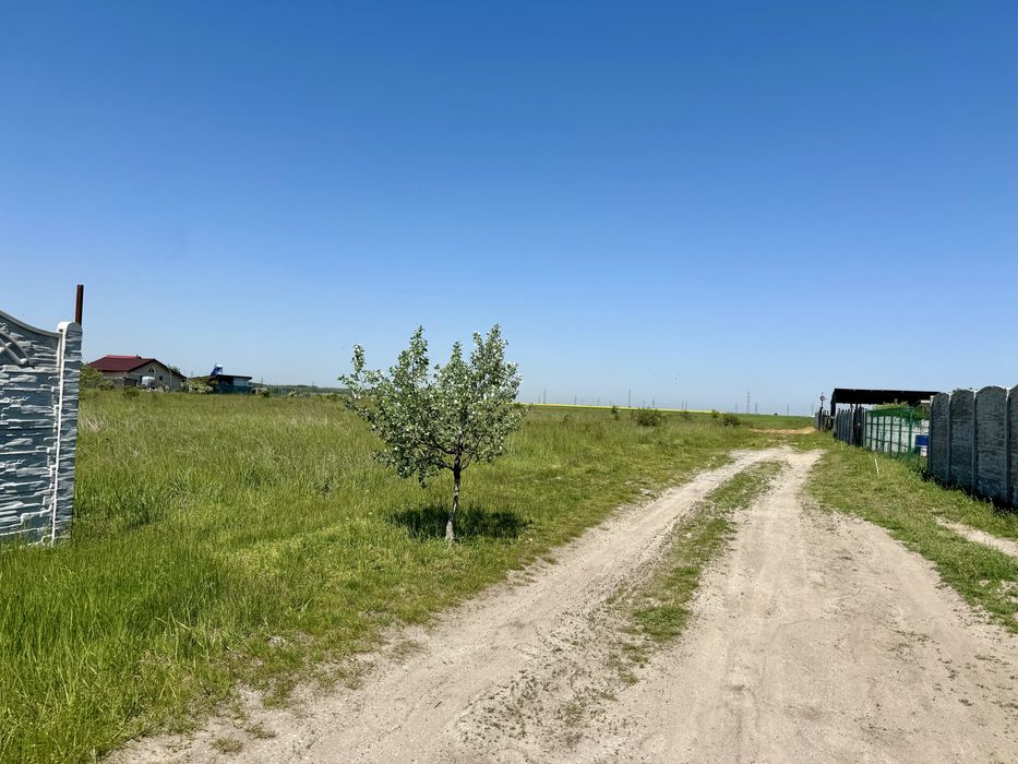Teren Ghercesti, Dolj