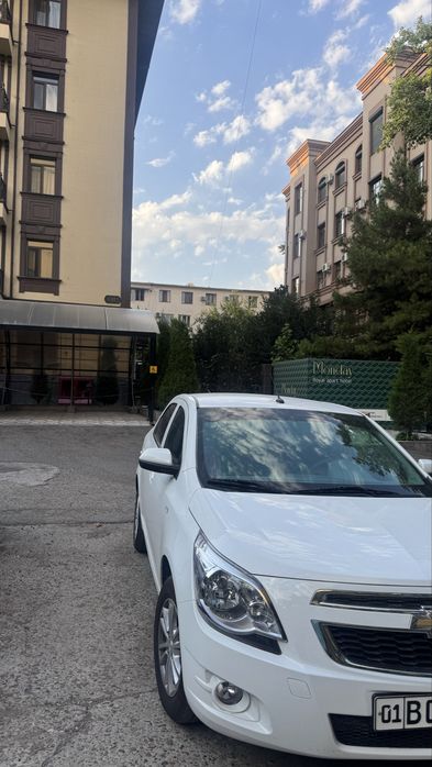 Kobolt 2025 stayl srochna