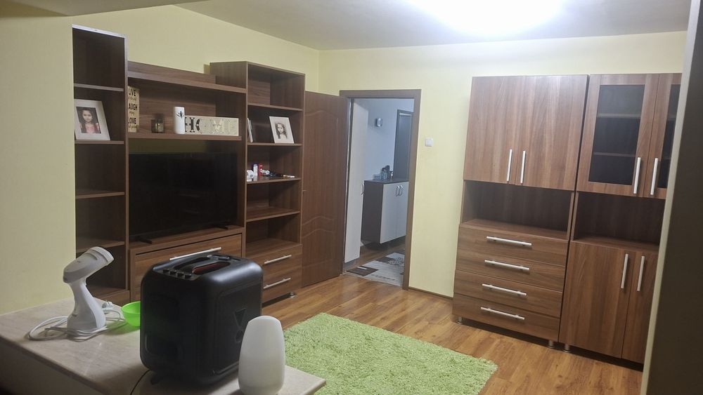 Apartament 1 camera  Micalaca