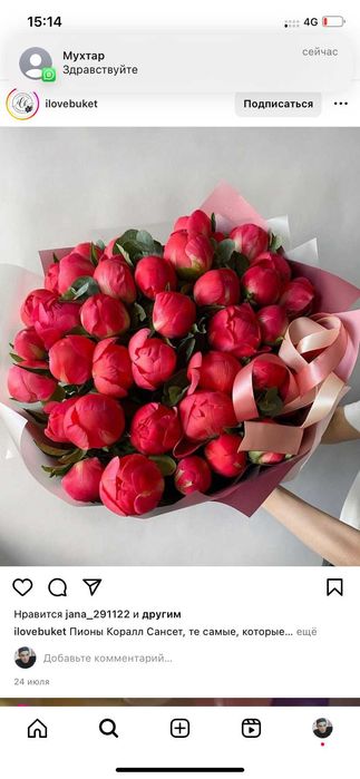 Хризантемы розы пионы сирень