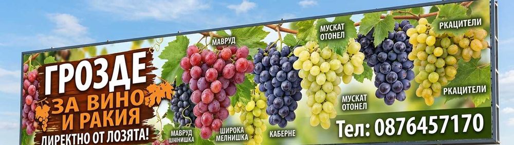 Грозде за вино и ракия различни видове