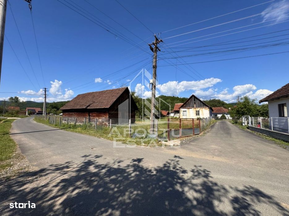 Casa batraneasca cu teren de 3.334mp, in Baia de Cris, Hunedoara