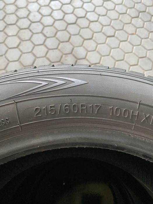 215/60 R17 Rydanz