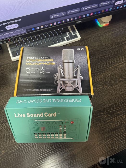Professional Condenser Microphone