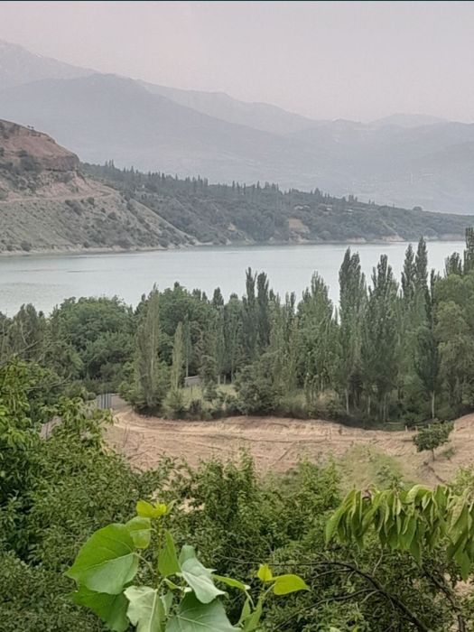 Сижжакда дача учун ховли сотилади 4.5 сотх 30 минг срочна