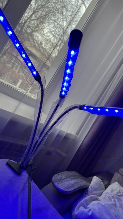 Уф лампа для растений