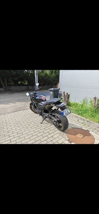 Honda Hornet 600 PC41 2010 ACTE A2
