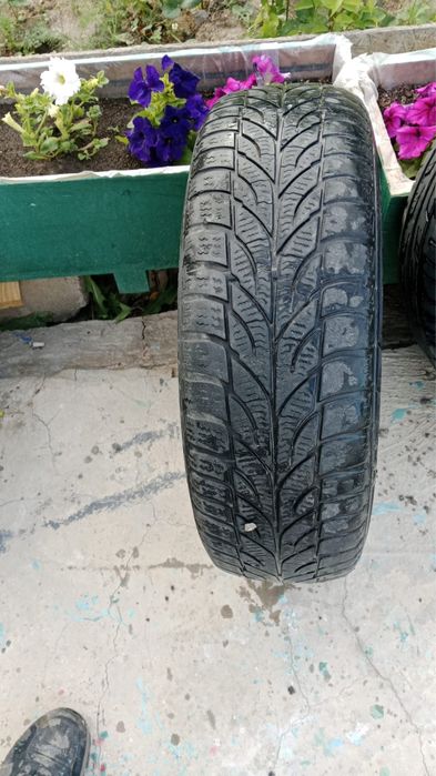 Зимняя шина R14.