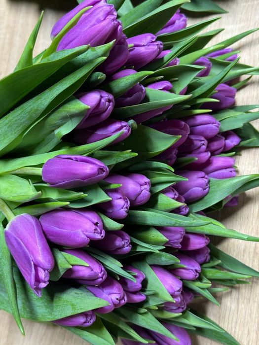 Корпаративные букеты из тюльпан