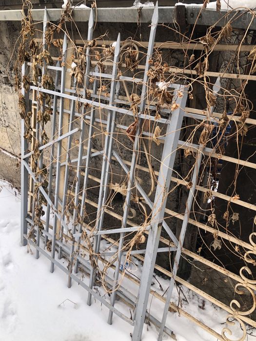 Железный забор крашеный