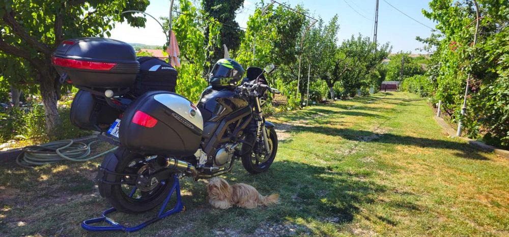 Suzuki SV650 2006