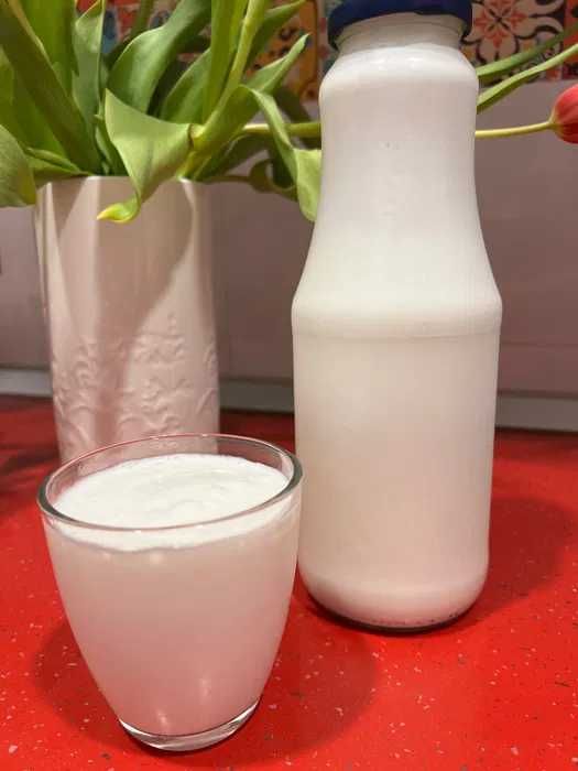 Kefir (chefir) de lapte şi apă - Set 2 culturi vii pentru fermentație