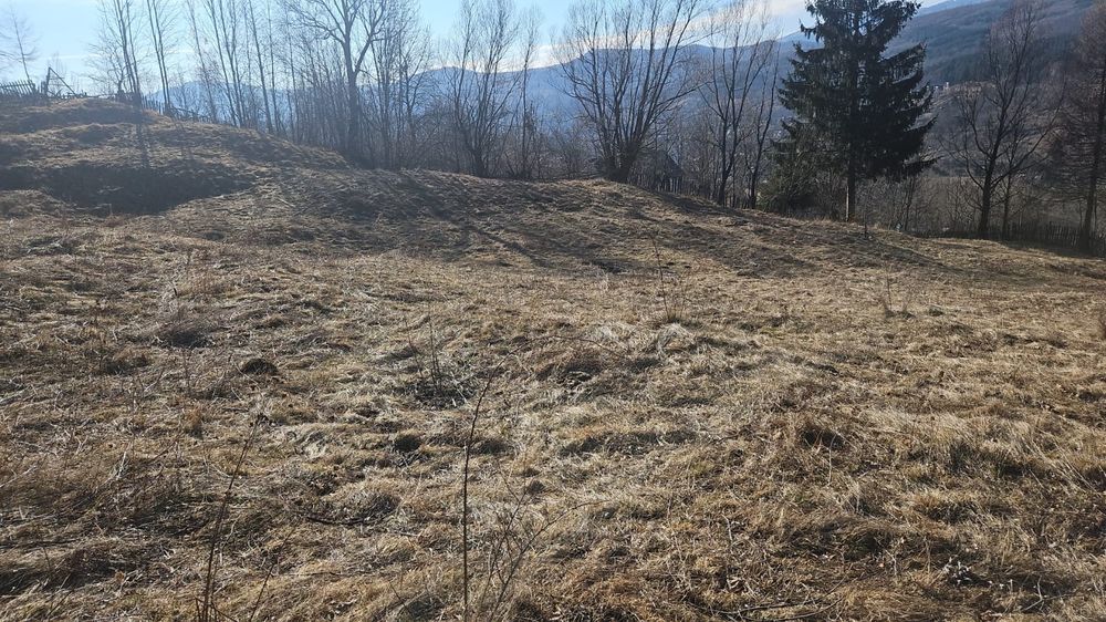 Teren Valea Doftanei