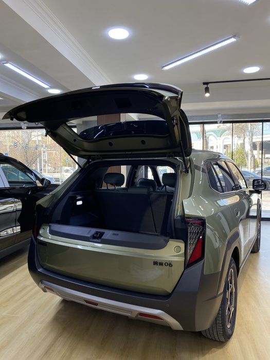 Dongfeng Nammi 06 EV 470km