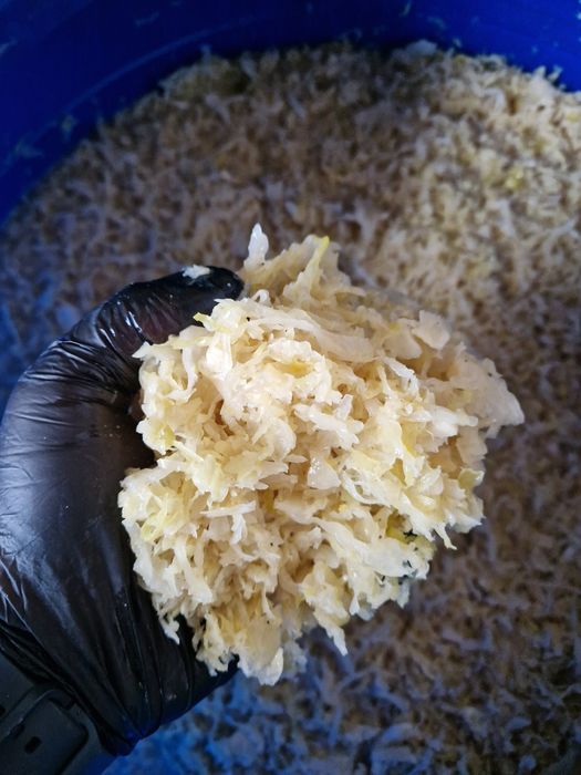 Varza murata capatani intregi / taiata-tocata