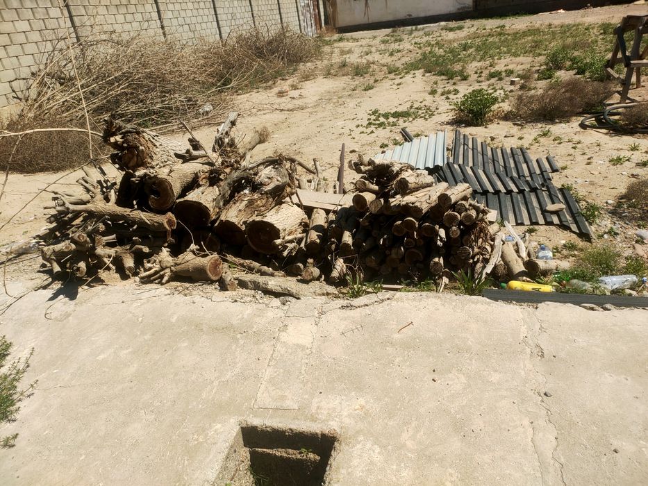 Агаш ,отын ,дерева