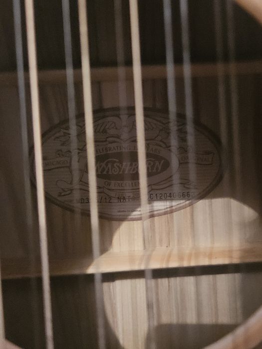 12-струнна китара Washburn