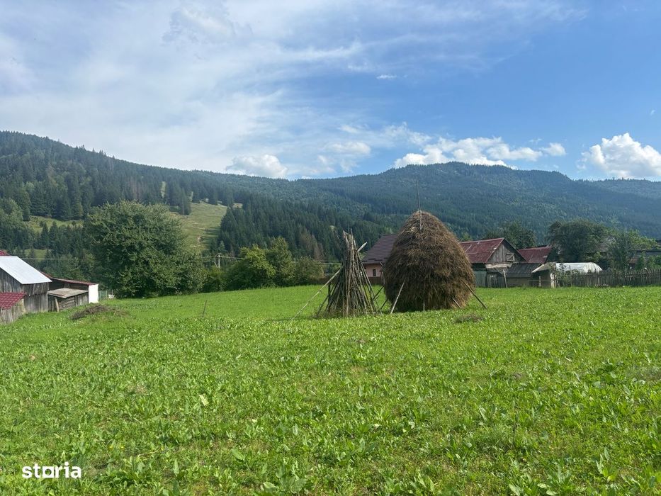 Teren Grințieș/Neamț