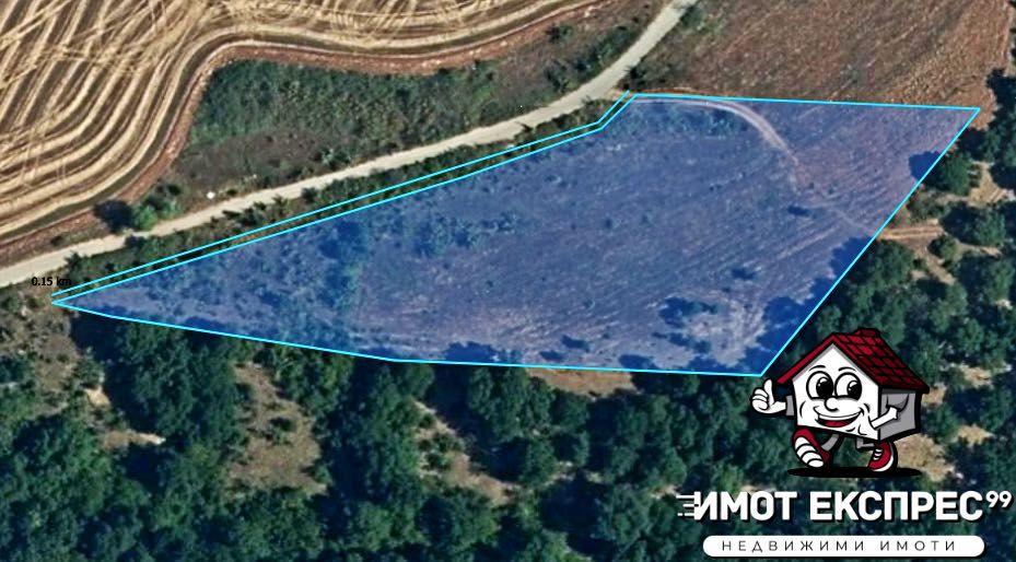 Продава се Парцел в Асеновград - 8609 кв.м за 10 €/кв.м - Снимка #14