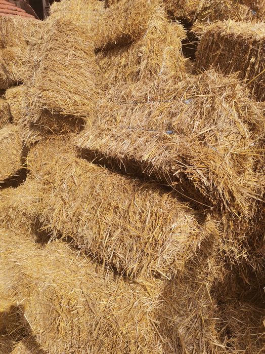 Малки Бали - СЛАМА Просо
