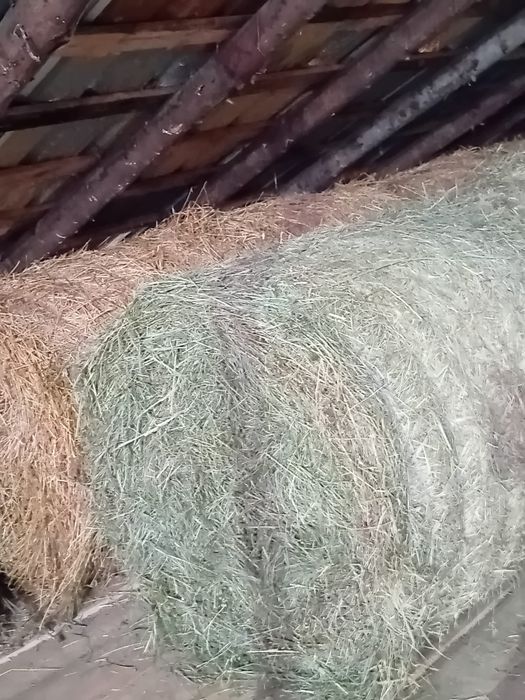 Vand baloti lucerna si otava