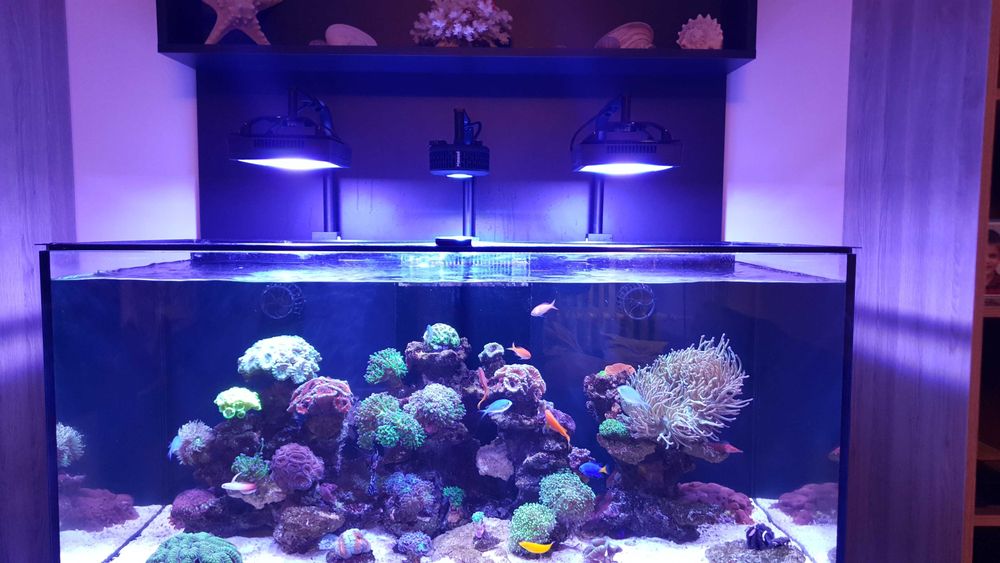 Redsea Reefer 420 xl v1