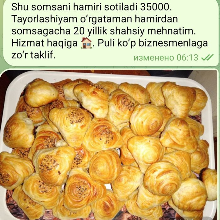 Somsa hamiri va somsa