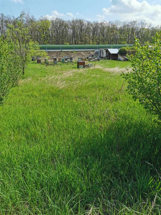 Teren Petresti-Corbeanca  974mp-85000€