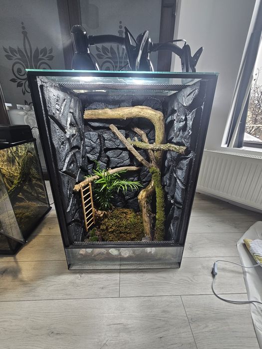 Terarii diferite dimensiuni